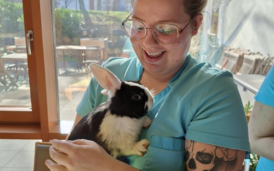 Tierbabys zum Streicheln