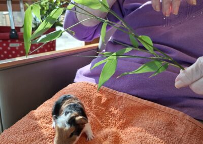 Tierischer Besuch bei den Bewohnern des Altenpflegeheimes Haus der Generationen