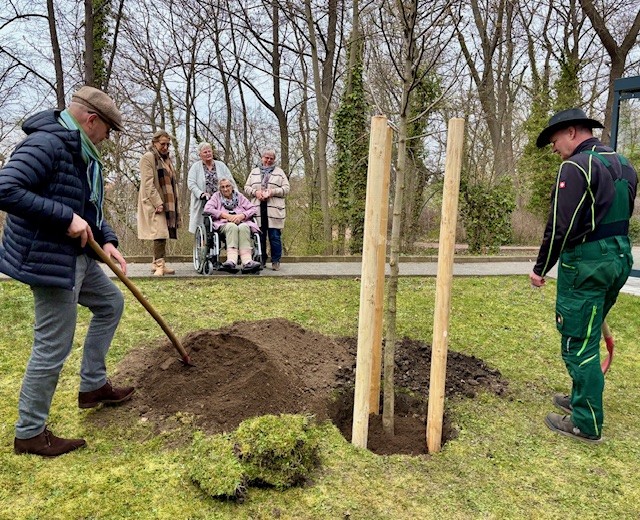 Mieterin bekommt Jubiläumsbäumchen