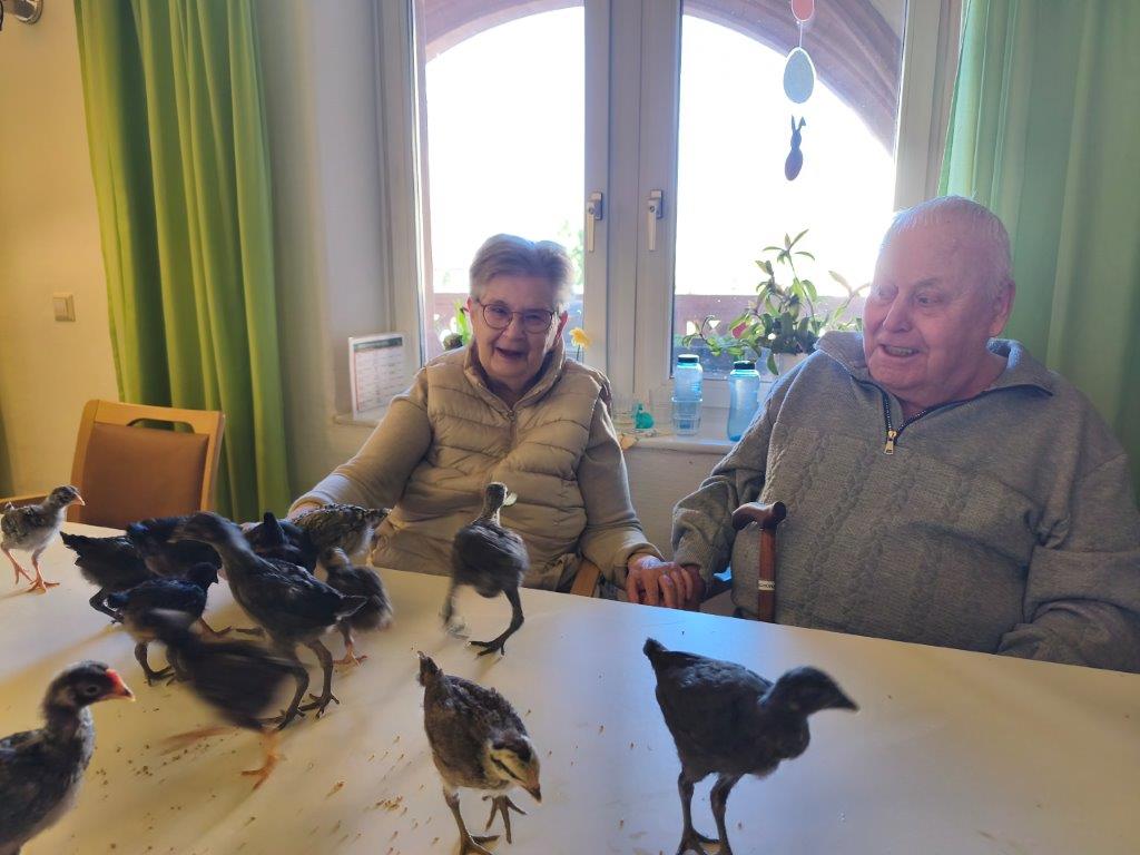 Besuch der Kontakttierbar im Altenpflegeheim Riebeckpark