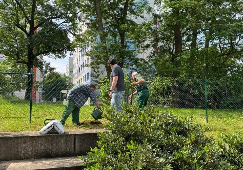 Wenn der weiße Flieder…