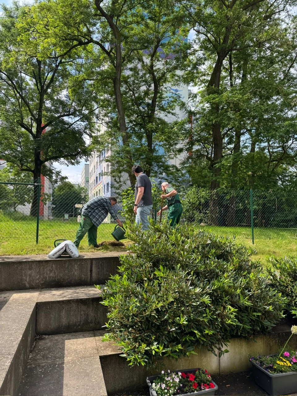 Baumpflanzung zum Jubiläum im Haus der Generationen