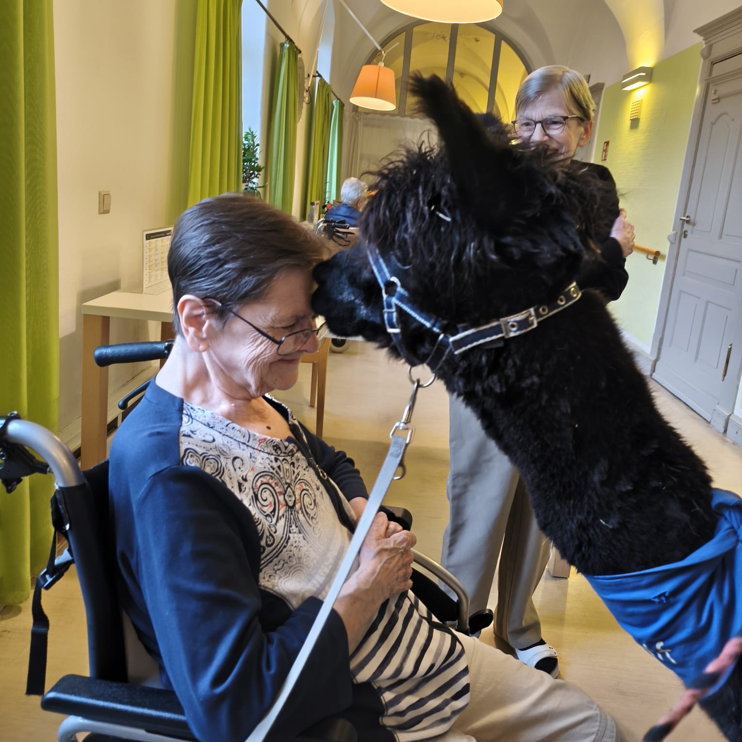Tiergestützte Arbeit im Altenpflegeheim Riebeckpark